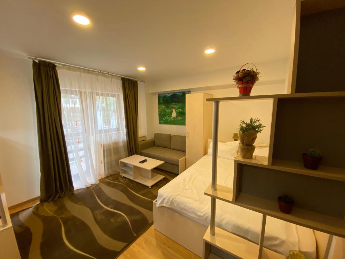 Sinaia Chic Minisuite Mirage-Self Check-In&Free Parking Bagian luar foto