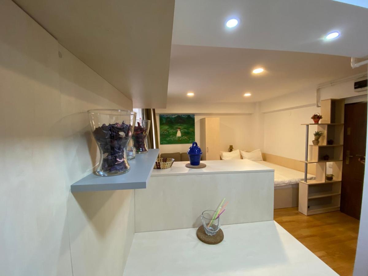 Sinaia Chic Minisuite Mirage-Self Check-In&Free Parking Bagian luar foto