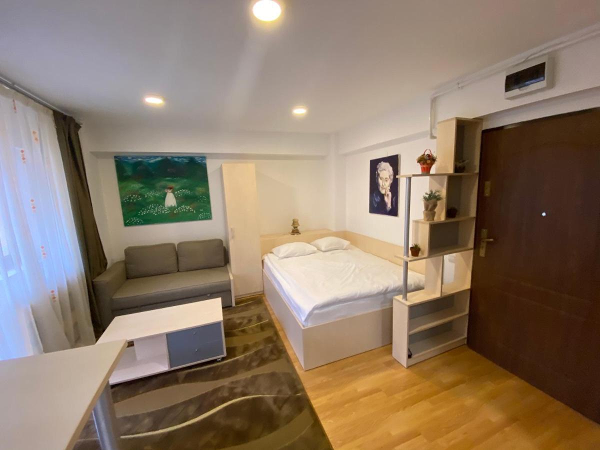Sinaia Chic Minisuite Mirage-Self Check-In&Free Parking Bagian luar foto