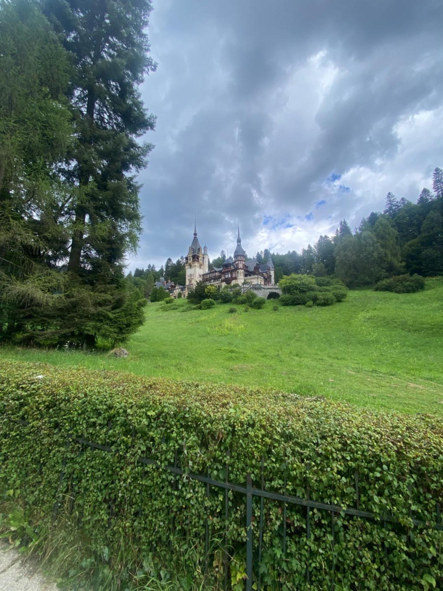 Sinaia Chic Minisuite Mirage-Self Check-In&Free Parking Bagian luar foto